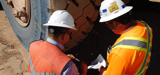 trabajadores de campo inspeccionando un neumático OTR